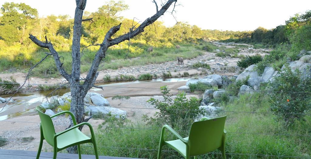 Greenfire Game Lodge Balule Game Reserve Εξωτερικό φωτογραφία