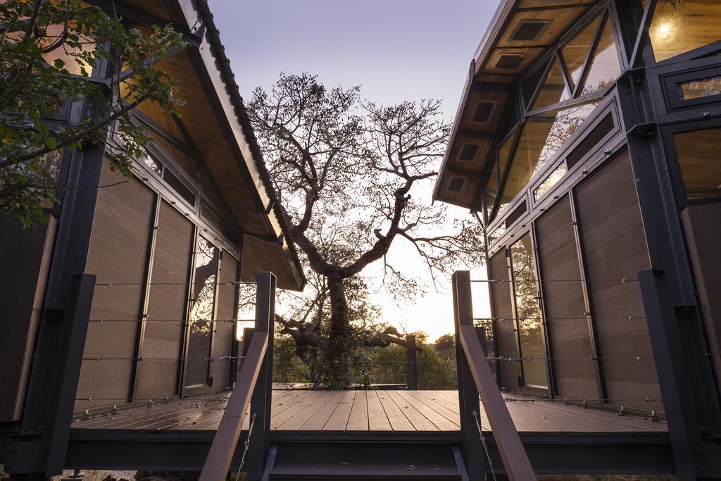 Greenfire Game Lodge Balule Game Reserve Δωμάτιο φωτογραφία