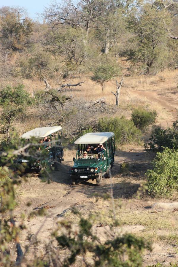 Greenfire Game Lodge Balule Game Reserve Εξωτερικό φωτογραφία