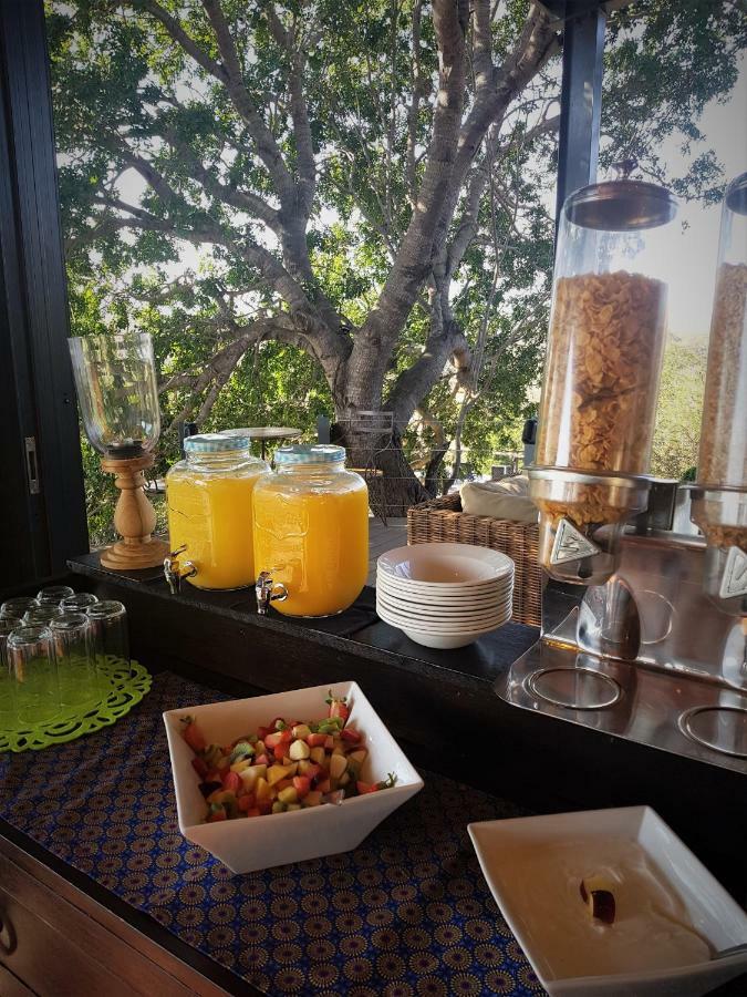 Greenfire Game Lodge Balule Game Reserve Εξωτερικό φωτογραφία